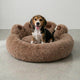Panier Patte Moelleux pour Chien – Pawly