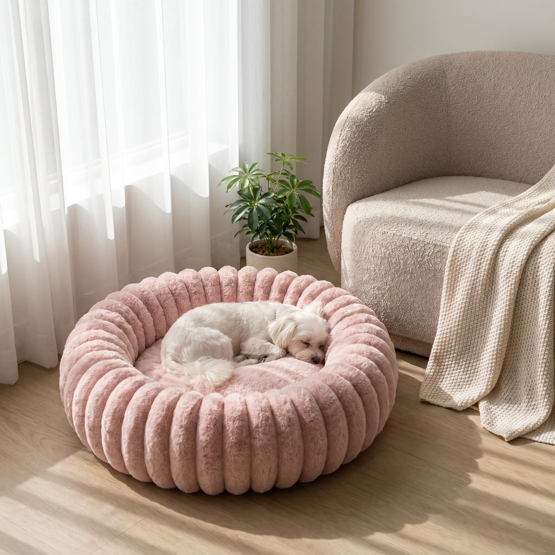 Paniers pour chien