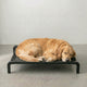 Lit Surélevé Noir pour Chien – AirPaw