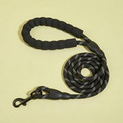 Laisse Corde Renforcée pour Chien – Ropy